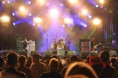 2016-09-02-03-04-Riverside-Aar-burg-CH-19-768x511